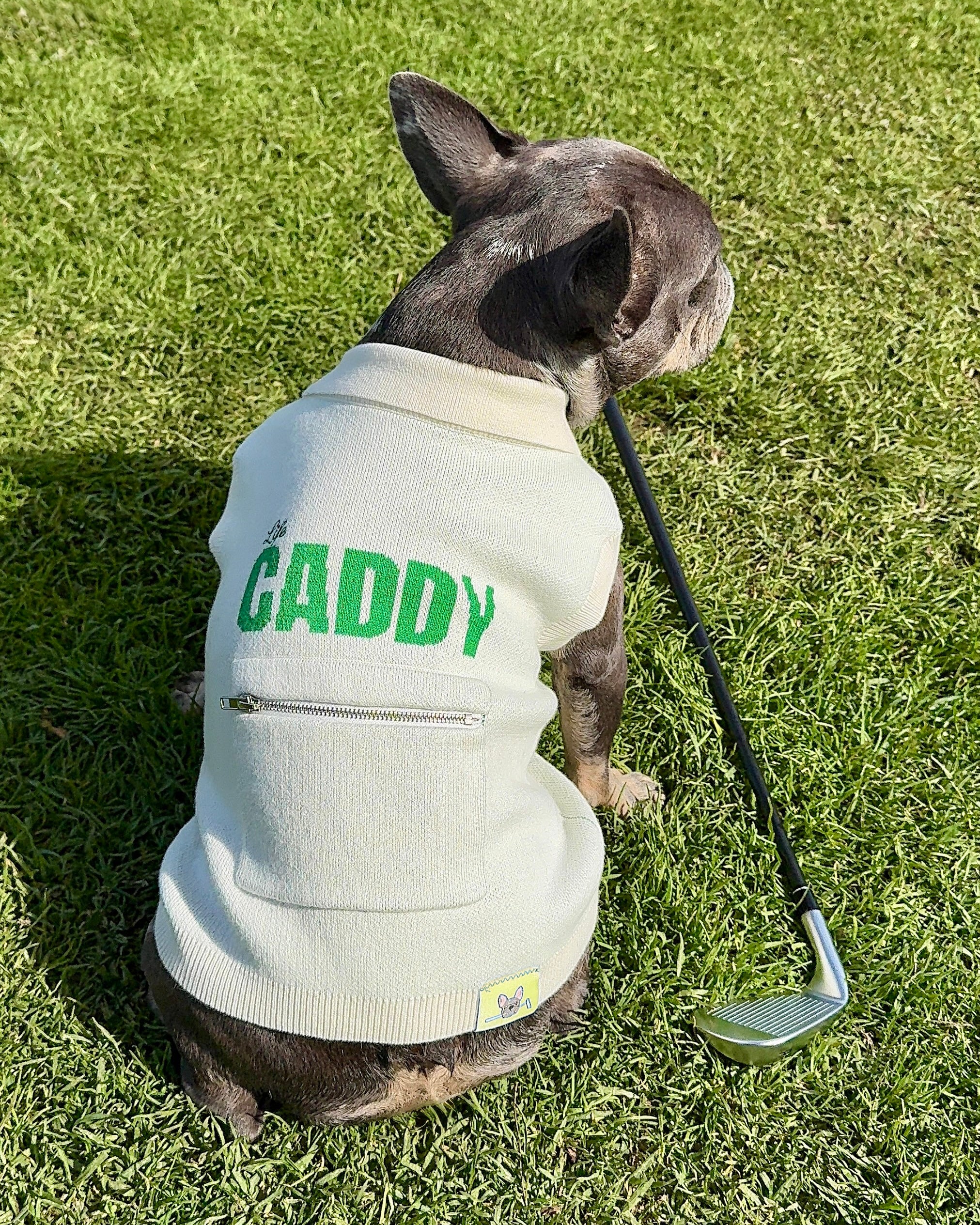Caddy Cotton/Cashmere Dog Polo (Masters Edition)