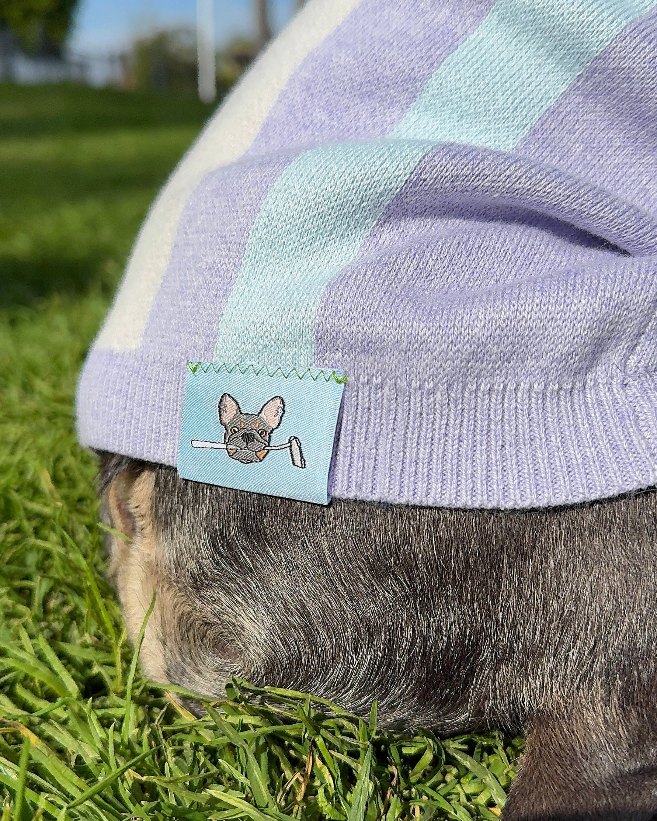 OG Cotton/Cashmere Dog Polo (Heather Lilac) PRE-ORDER