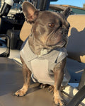 OG Cotton/Cashmere Dog Polo (Heather Gray) PRE-ORDER