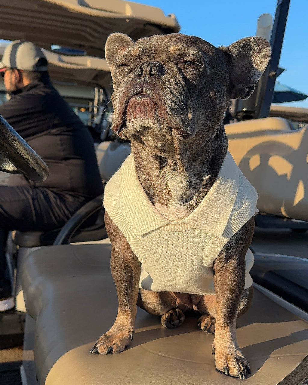 Caddy Cotton/Cashmere Dog Polo (Masters Edition)